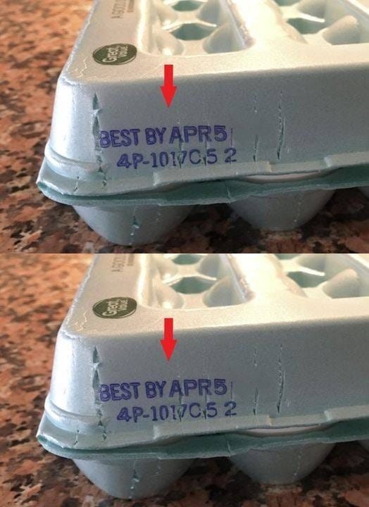 494731335_122201116454101863_5220362810012301945_n