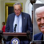 schumer-trump