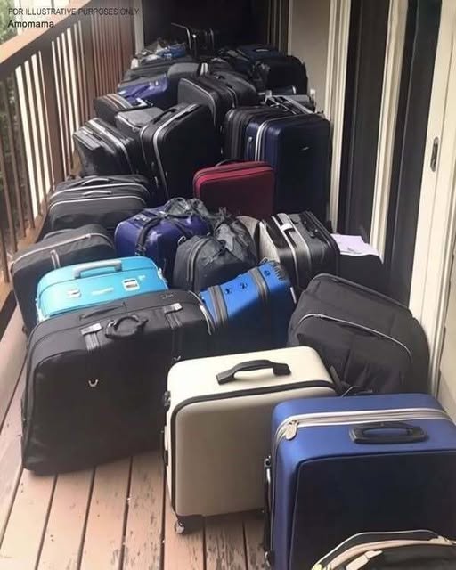 525566850_122271837746011161_925953453525466619_n