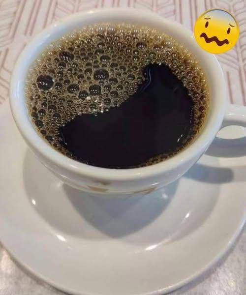 571602462_838939688661349_5251561486873355973_n