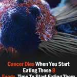 574116858_122161688336762766_2561419359178003710_n