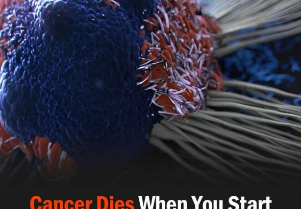 574116858_122161688336762766_2561419359178003710_n