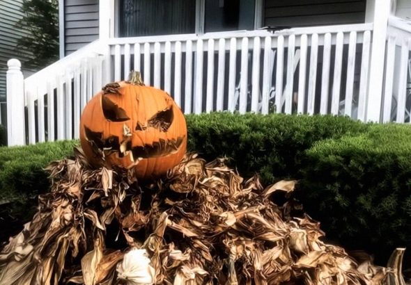 572758631_122191493198345815_2728675969410135653_n