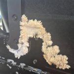 572776731_840021018553216_8909434911931817552_n