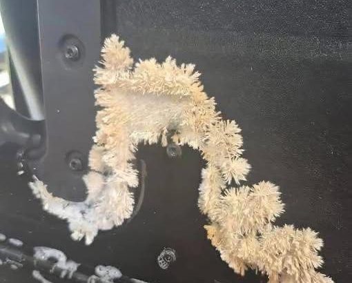 572776731_840021018553216_8909434911931817552_n