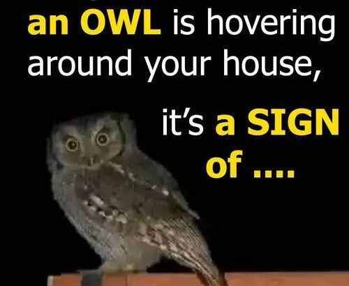 574981482_122232057842105239_6751747550407317770_n