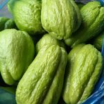 576227793_122163008186762766_3262784816382068285_n