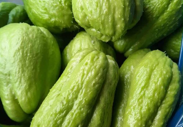 576227793_122163008186762766_3262784816382068285_n