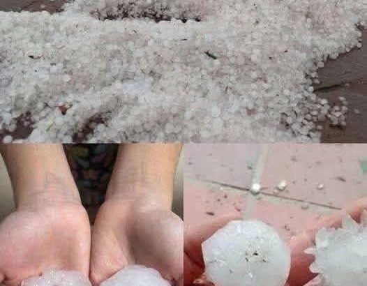 577000778_845989491289702_6469165185705789582_n