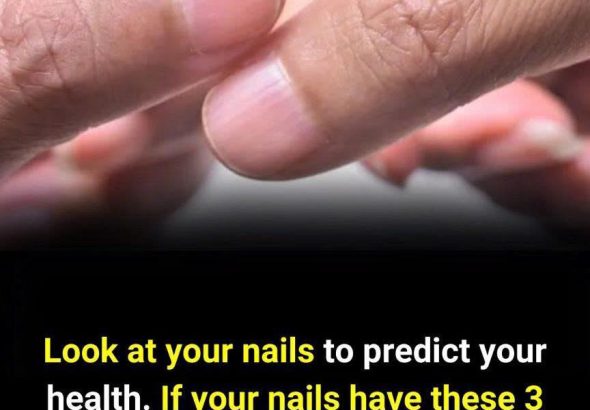 577127016_122191800866345815_5495189034174995913_n