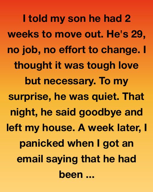 577139005_122232066896105239_5860273768154360721_n