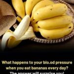 577444961_122162692592762766_1210067235665977549_n