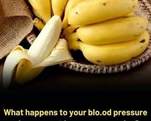 577444961_122162692592762766_1210067235665977549_n