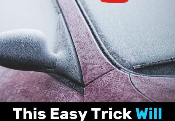 580694002_848411057714212_6662311200833690668_n