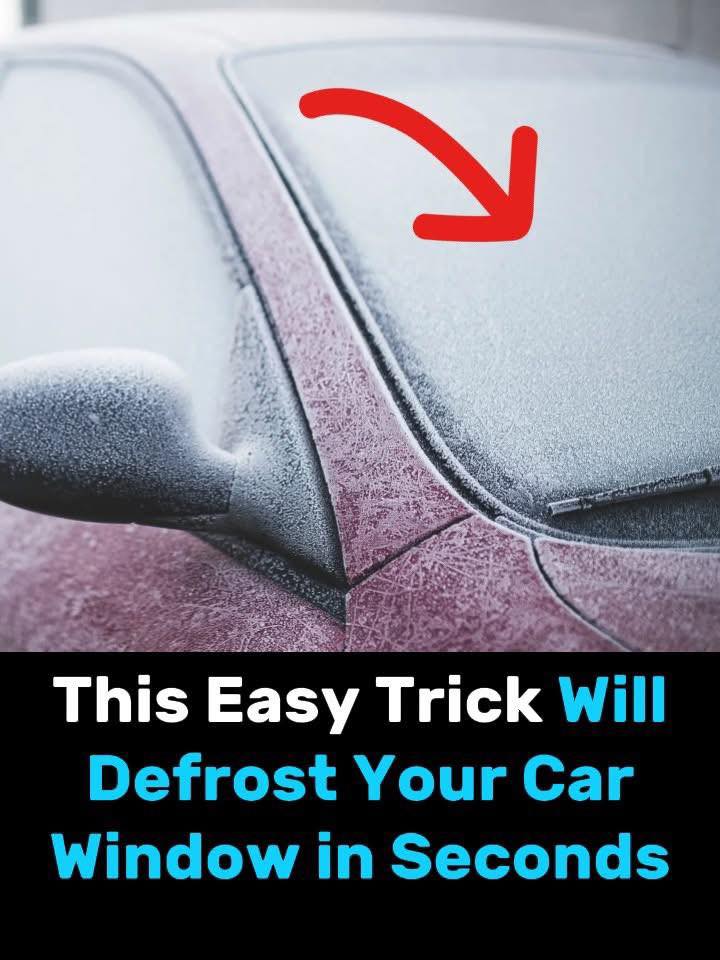 580694002_848411057714212_6662311200833690668_n