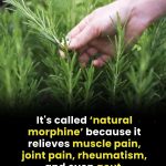 580779176_850897307465587_5677503091641051178_n