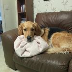 581970603_122217140828094919_8750435288368465206_n