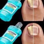 582171479_853141113907873_561674879414237675_n