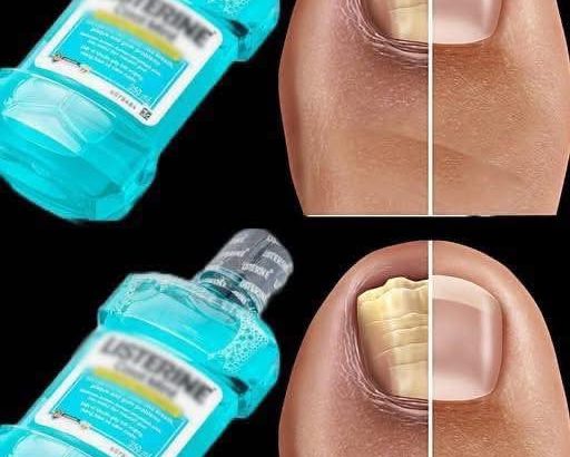 582171479_853141113907873_561674879414237675_n