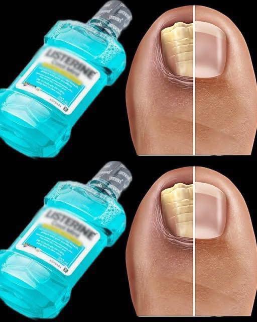 582171479_853141113907873_561674879414237675_n