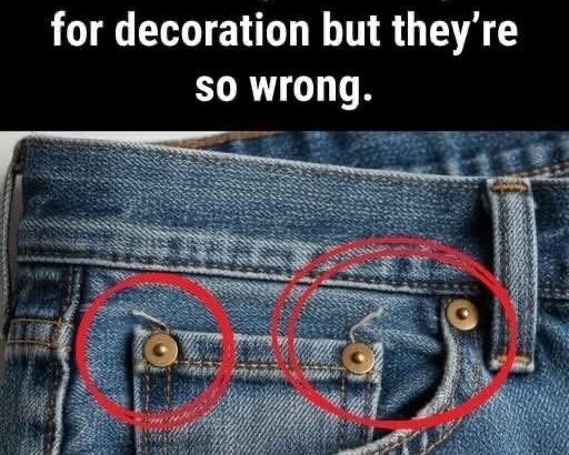 583086129_122252032202106260_4829365853033547031_n