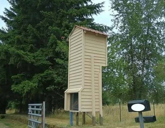 583325056_122229671534102037_6626669100164231338_n