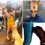 584092355_122252038670106260_167751834894803681_n