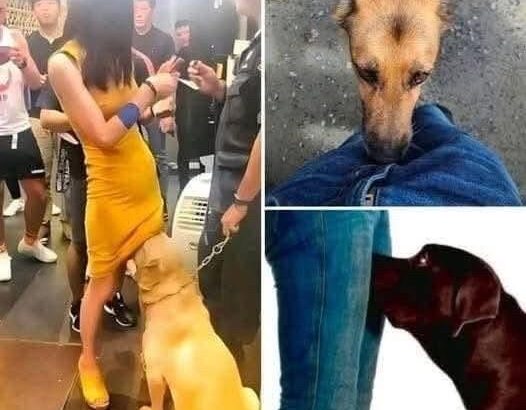 584092355_122252038670106260_167751834894803681_n