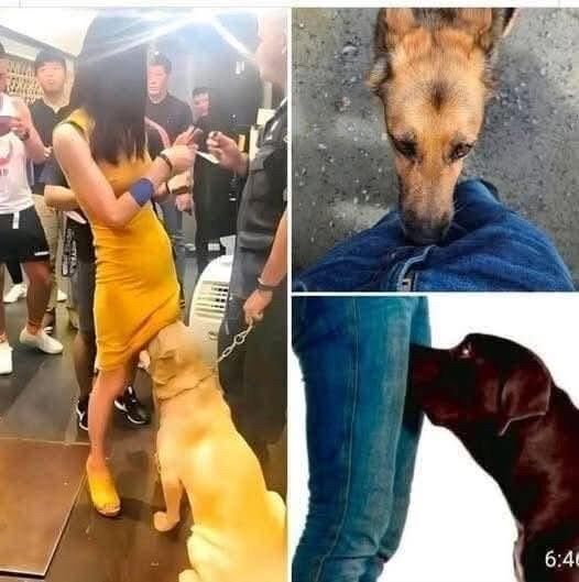 584092355_122252038670106260_167751834894803681_n