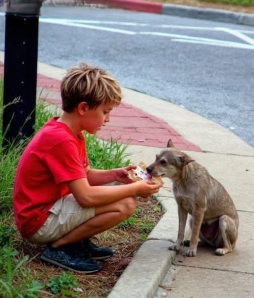 584975803_122226519284099504_7064093896452294079_n