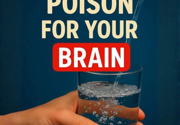 585356124_856112630277388_2782034146163325581_n