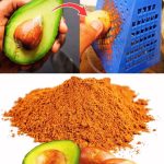 586518027_857786233443361_2487389780031514437_n