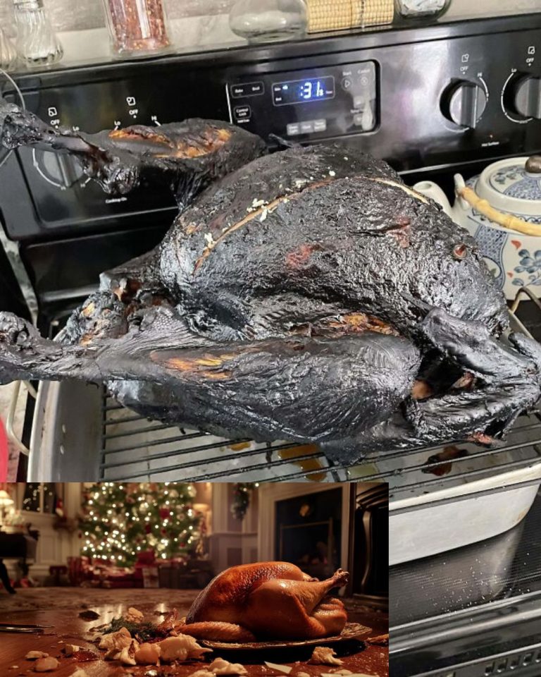 586984037_122223095384121967_8758906426697436403_n