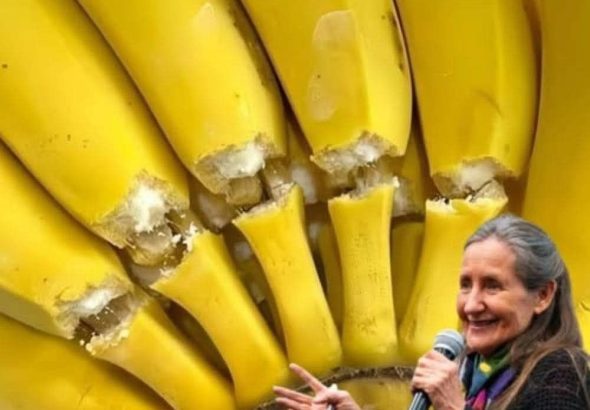 588990458_122194118222345815_7933261912374001925_n