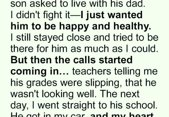 593058765_122194492670345815_2692686140030129899_n