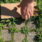 Screenshot 2025-11-17 200146