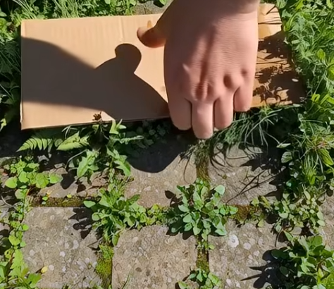 Screenshot 2025-11-17 200146