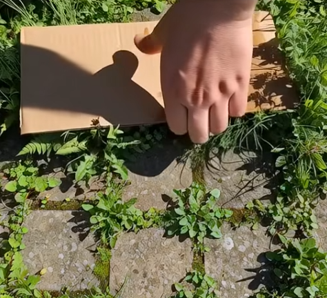 Screenshot 2025-11-17 200146