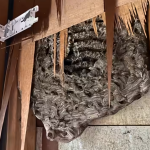 Screenshot 2025-11-26 010605