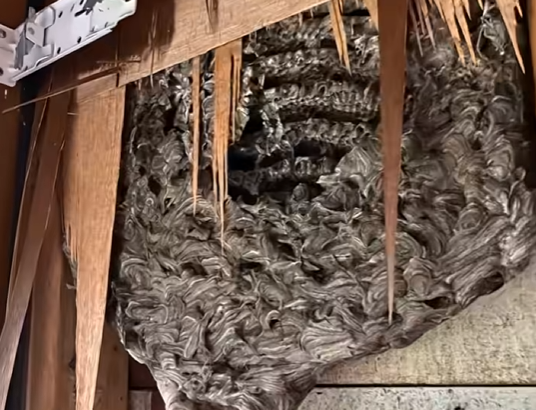 Screenshot 2025-11-26 010605