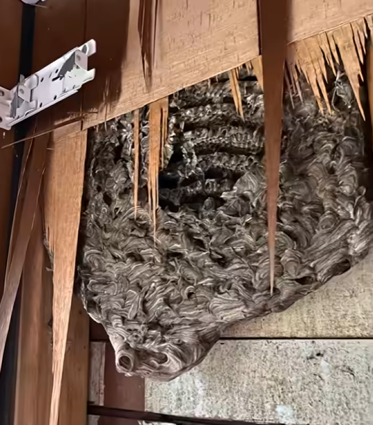 Screenshot 2025-11-26 010605