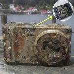 528383255_767753355779983_6846422380241914473_n