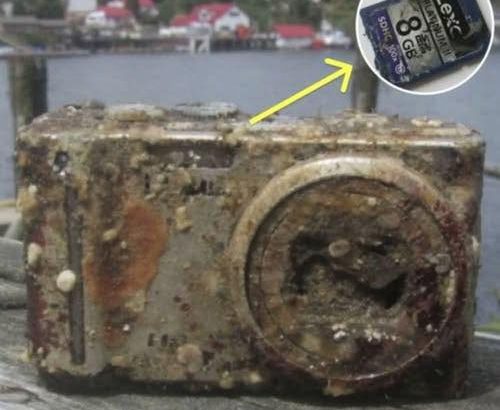 528383255_767753355779983_6846422380241914473_n