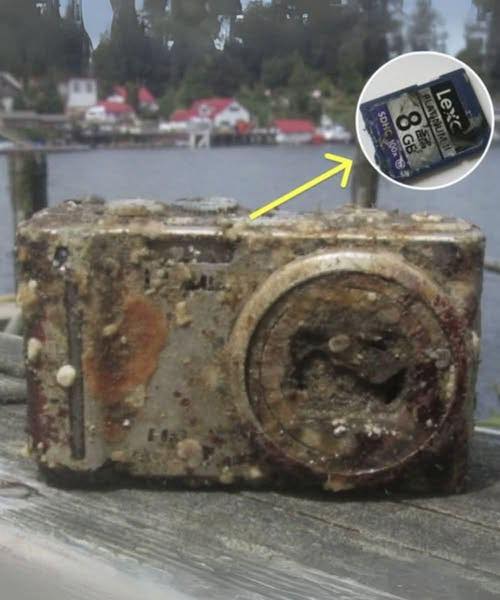 528383255_767753355779983_6846422380241914473_n