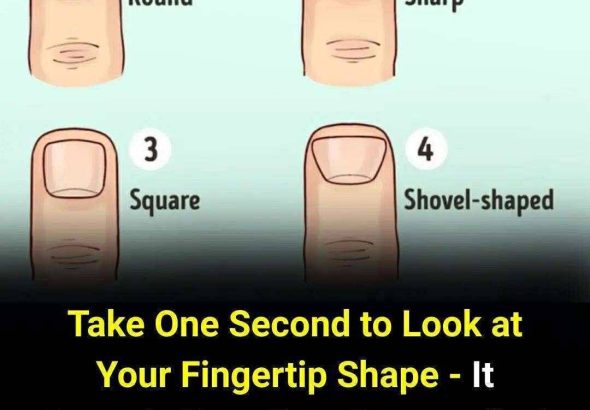 593530667_122232134672102037_1648633998181421677_n