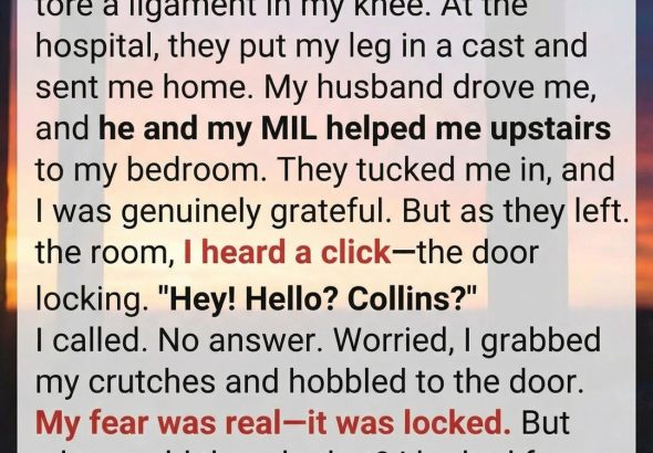 594965873_122214855032108484_85902769227226426_n