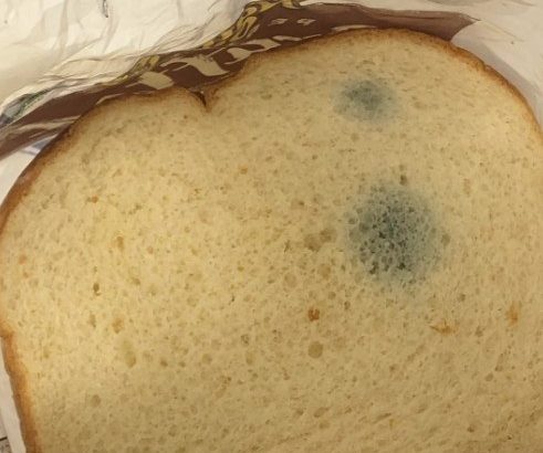 594977769_122163081458781266_4060010497016705148_n