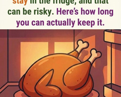 595297852_122214858632108484_4956575366815395573_n