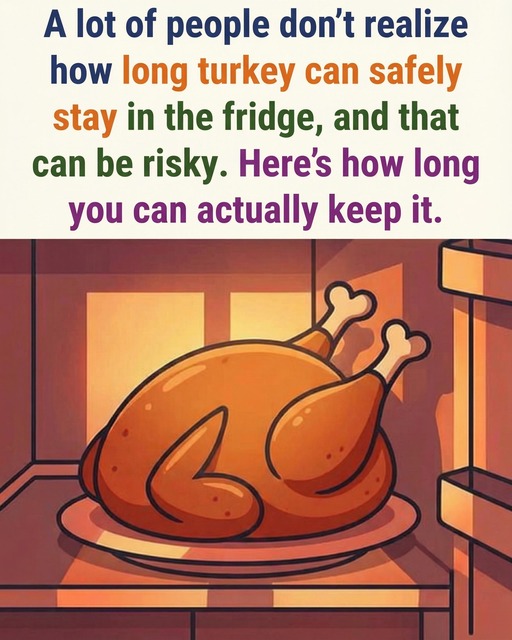 595297852_122214858632108484_4956575366815395573_n