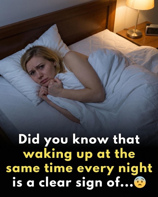 595717374_122214780536108484_3594689202257902783_n